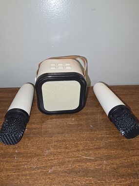 Bluetooth Karaoke Machine Portable  Speaker System with 2 Wireless Mics